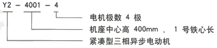 YR系列(H355-1000)高压YJTGKK5004-4三相异步电机西安西玛电机型号说明